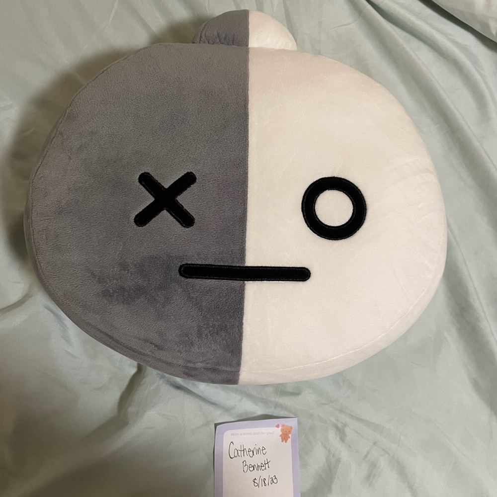 BT21 Van 30 cm pillow/cushion